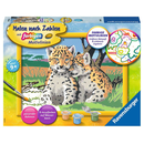 Ravensburger - Kleine Leoparden - Malen nach Zahlen Raubkatzen Tierbaby Serie D