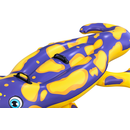 Bestway 41502 - Schwimmtier Salamander - Aufblastier Reittier Luftmatratze Gecko Pool
